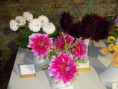 /album/fotogalerie-vystava-v-ceske-skalici-v-r-2020/dscn0473-jpg/